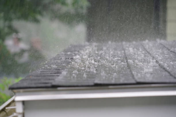 Best Storm Damage Roof Repair  in Baldwin, MI