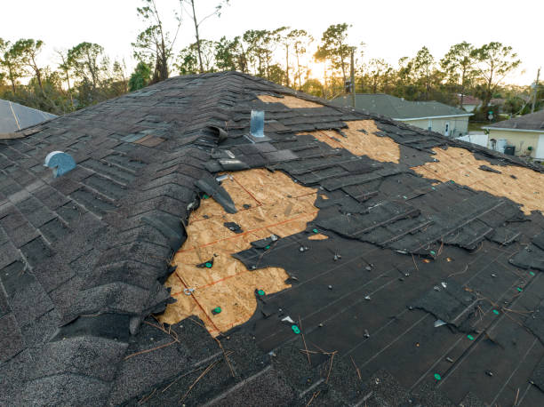 Best Roof Ventilation Installation  in Baldwin, MI