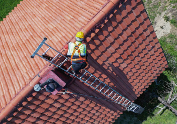Best Steel Roofing  in Baldwin, MI