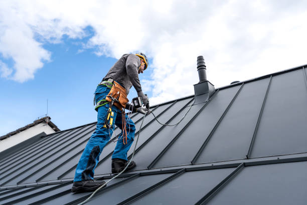 Best Roof Waterproofing  in Baldwin, MI